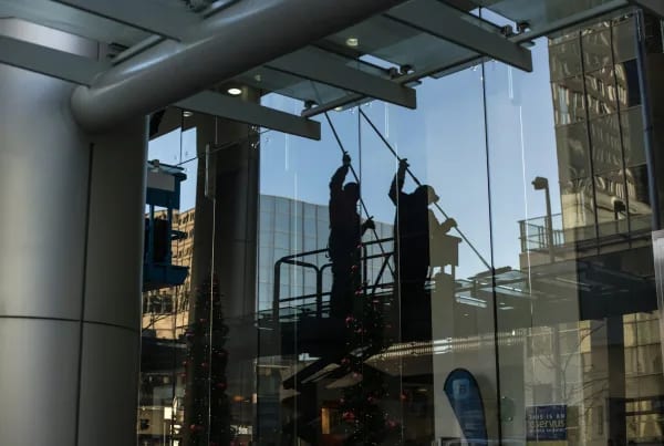 Window Cleaner Ben & Co